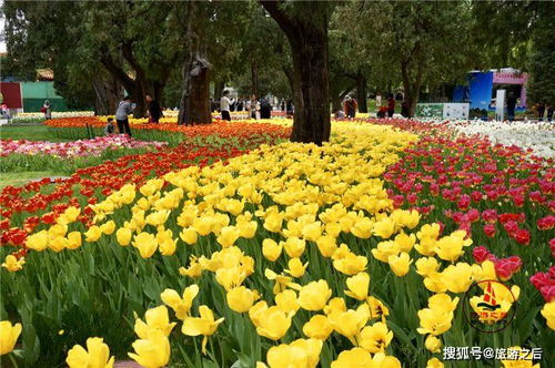 科技与品种的结合