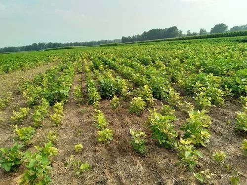 环保？平安？别急，我来慢慢道来