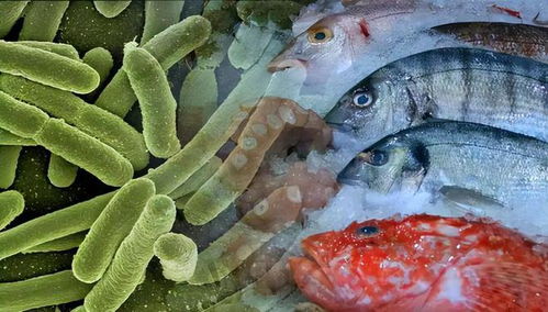 阿维菌素：养鱼池中的守护神