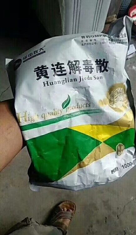 做好母猪保健，如何排毒保肝助力母猪健康高产