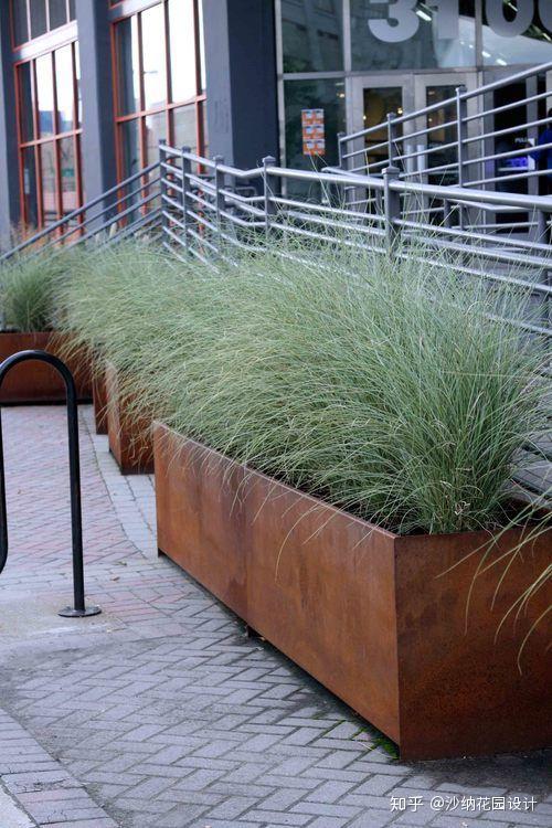 湖南屋顶花园种植植物的小秘密