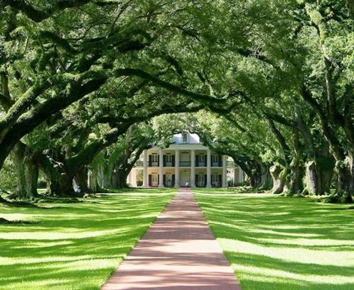 理论与实践的平衡