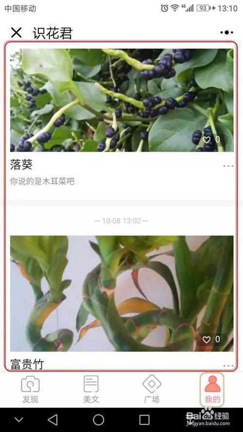 探索未知， 从认识我家后院的不知名植物开始