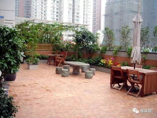 适合屋顶花园的竹子品种