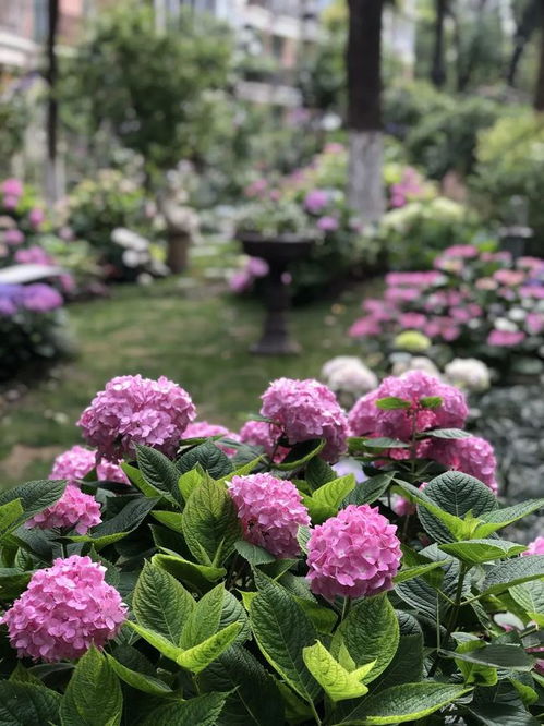 种植技巧，你掌握了吗？