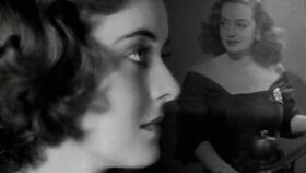 品种的详细介绍