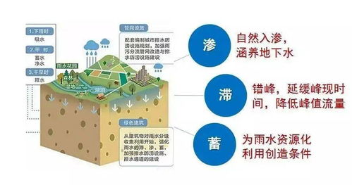 打造高效农业：全面优化全国水循环系统建设策略