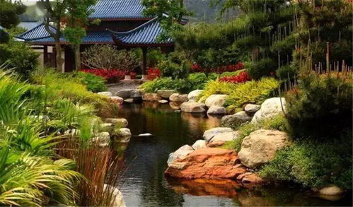 地形与环境的大考