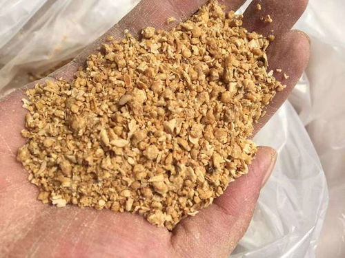 羊每天吃多少豆粕最合适，干豆粕作为饲料的摄入量有标准吗？