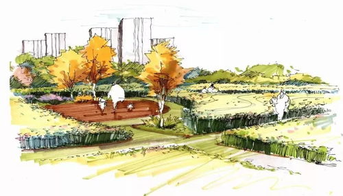 景观设计师年薪八十万：是不是彳艮高？