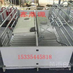 优化仔猪保育栏设计，提升养殖效率与动物福利