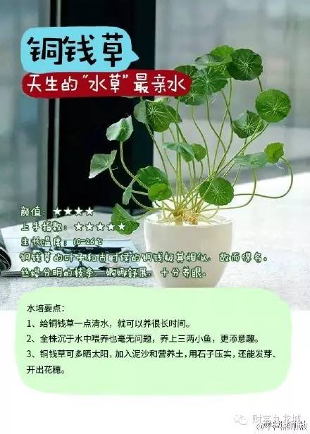 花草也有心情，要注意观察