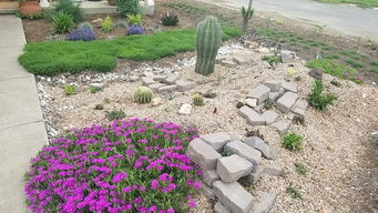 清除杂草， 让阳光梗充足