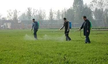 除了化学方法，还有其他办法吗？