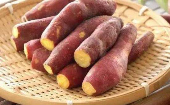 日常的馈赠， 生命的滋养