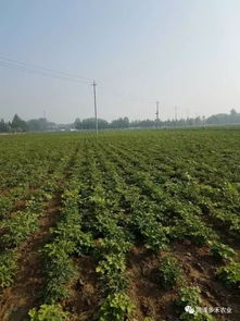 在凡事千遍一律的城市中