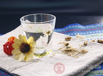 菊花茶喝了有什么好处？它的副作用又是什么呢