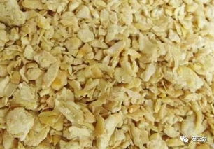 豆粕蛋白质含量受哪些因素影响，进而影响饲料蛋白质的利用率？