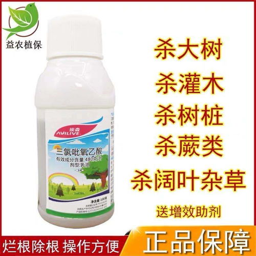 除草剂杀树根，哪种药效果最好