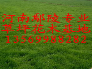 转型升级， 绽放美丽经济