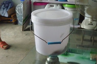 农药桶价格行情