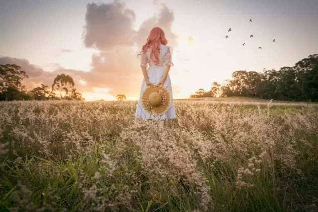 “花开时为何孤独感如影随形