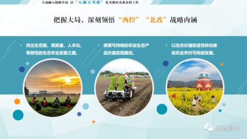 生态产品价值转化路径探索