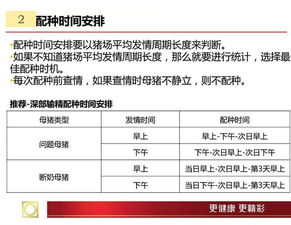 猪场输精规范你掌握了吗？如何确保操作准确无误