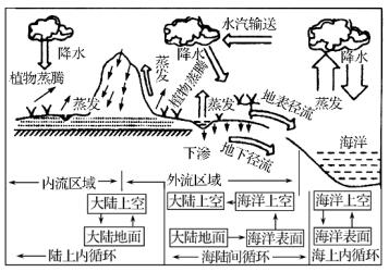 揭秘水循环：高中地理视角下的农业生态平衡