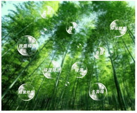 竹纤维是一种天然植物纤维，源自竹子