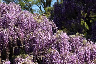 不同地区的价格差异大吗？