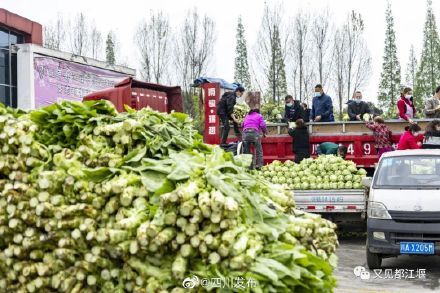 抗疫胜利的喜悦