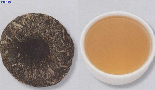 重庆沱茶是否属于普洱茶？揭秘其独特品质特点