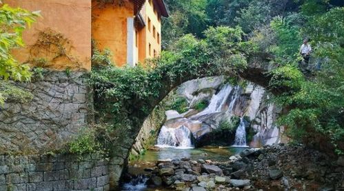 长沙植物园里什么景点最受欢迎？这些地方你一定要去体验吗