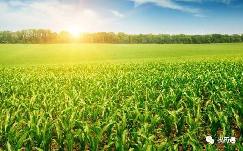 农药肥料搭配， 农业生产的秘密武器