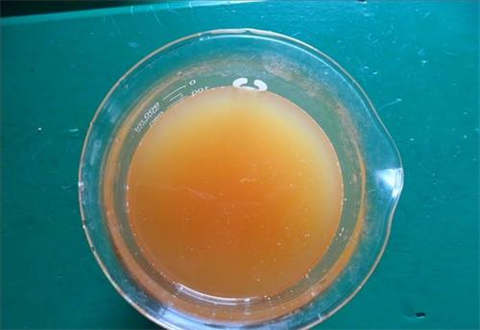 乳酸作为饲料添加剂，检测时只需关注哪些国标指标呢？