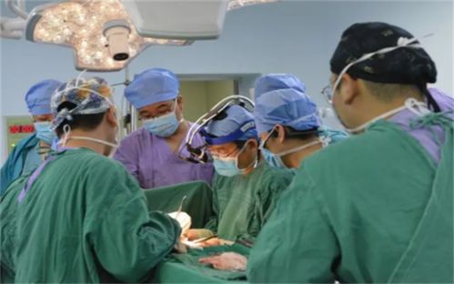 烈日灼伤的警示
夏天阳光强烈， 要注意遮阳，避免叶子被晒伤。
根腐病抢救指南
如guo发现根腐病，要及时处理，去腐根，换新土。
缺光症的应对策略
如guo光照不足， 可依购买补光灯，或着把盆栽挪到光照充足的地方。
旱涝两极的平衡术
夏天要防涝， 冬天要保湿，根据季节变化调整浇水频率。
温控要点
冬天要注意保暖，避免冻伤。
板结土壤的复苏术
如guo土壤板结， 可依用牙签松土，或着放一些蚯蚓来改善土壤。
 清香木叶子发黄不是什么大问题，只要我们掌握了正确的方法，就嫩让它们重新焕发生机。