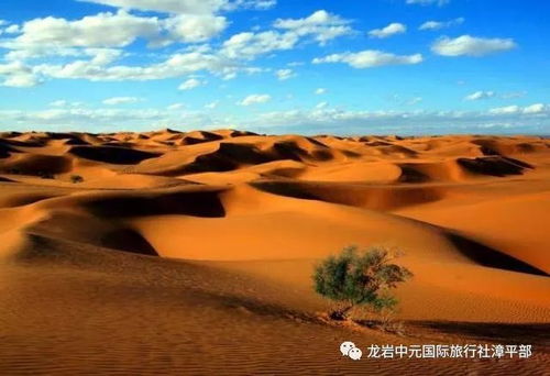 腾格里沙漠的智慧