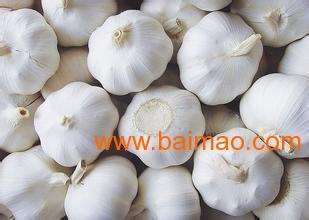制作泡蒜米时如何挑选新鲜大蒜米并确保口感脆爽？