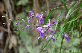 春季还是秋季？这是个问题！