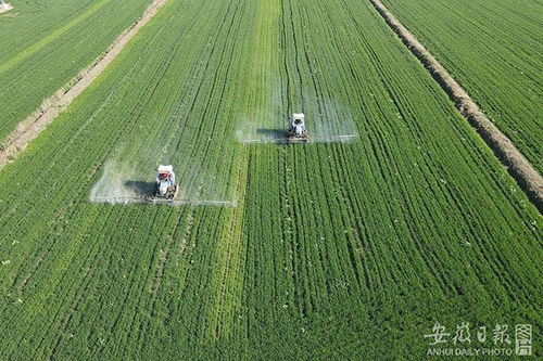 因地制宜，选择适合的封闭除草药剂