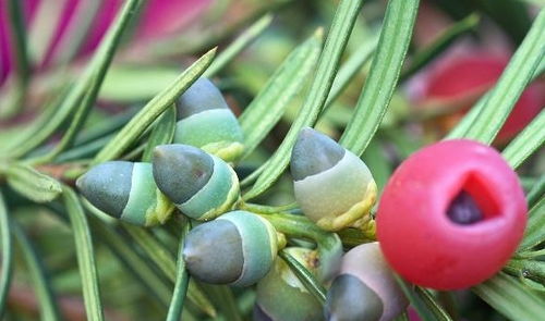 忌讳一：环境不适