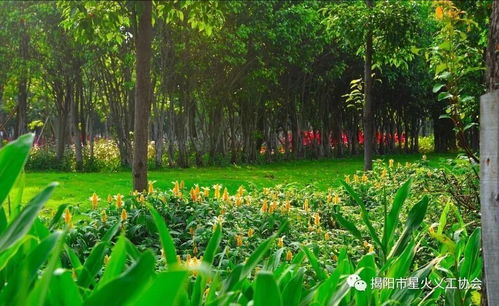 花草树木成活了吗？如何确保它们茁壮成长