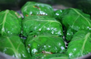 莙荙菜， 生长周期长，营养价值高