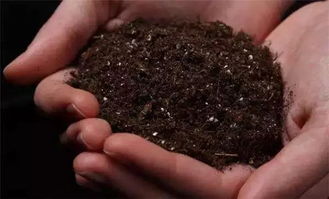 毛汉尼配土方法对种植土壤的酸碱度、透气性和保水性有何具体影响