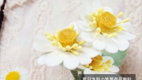 小雏菊色彩缤纷，不同花色分别蕴含哪些独特的花语和美好祝福呢