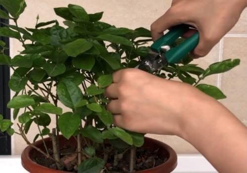 水量控制有妙招