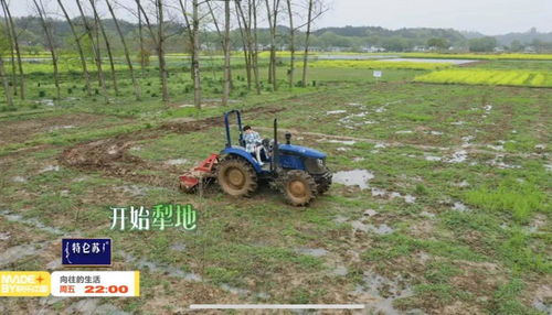 耕地机操作：启动前检查