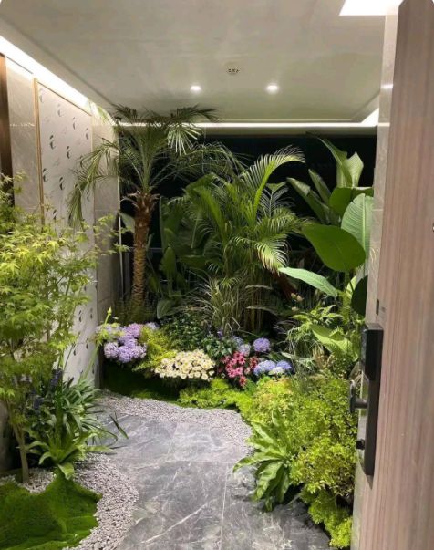 门口种什么植物？让家门口瞬间变美