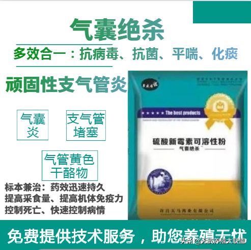 效果惊人，好评如潮